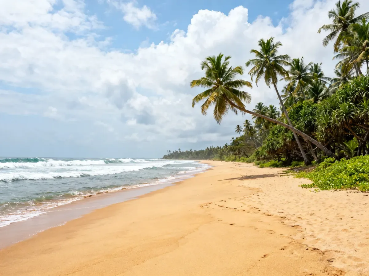 Tropikalna plaża na południowym wybrzeżu Sri Lanki